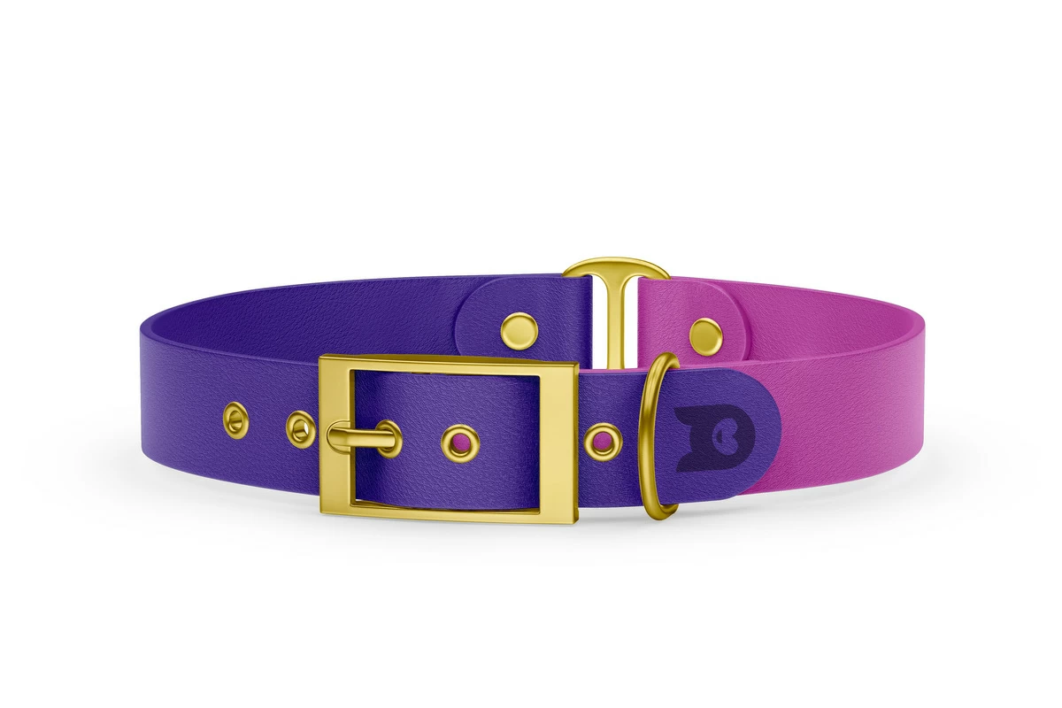 Duo-Halsband für Hunde: Violett & Hellviolett mit Gold-Komponenten
