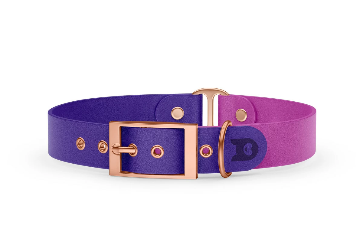 Duo-Halsband für Hunde: Violett & Hellviolett mit Rosegold-Komponenten