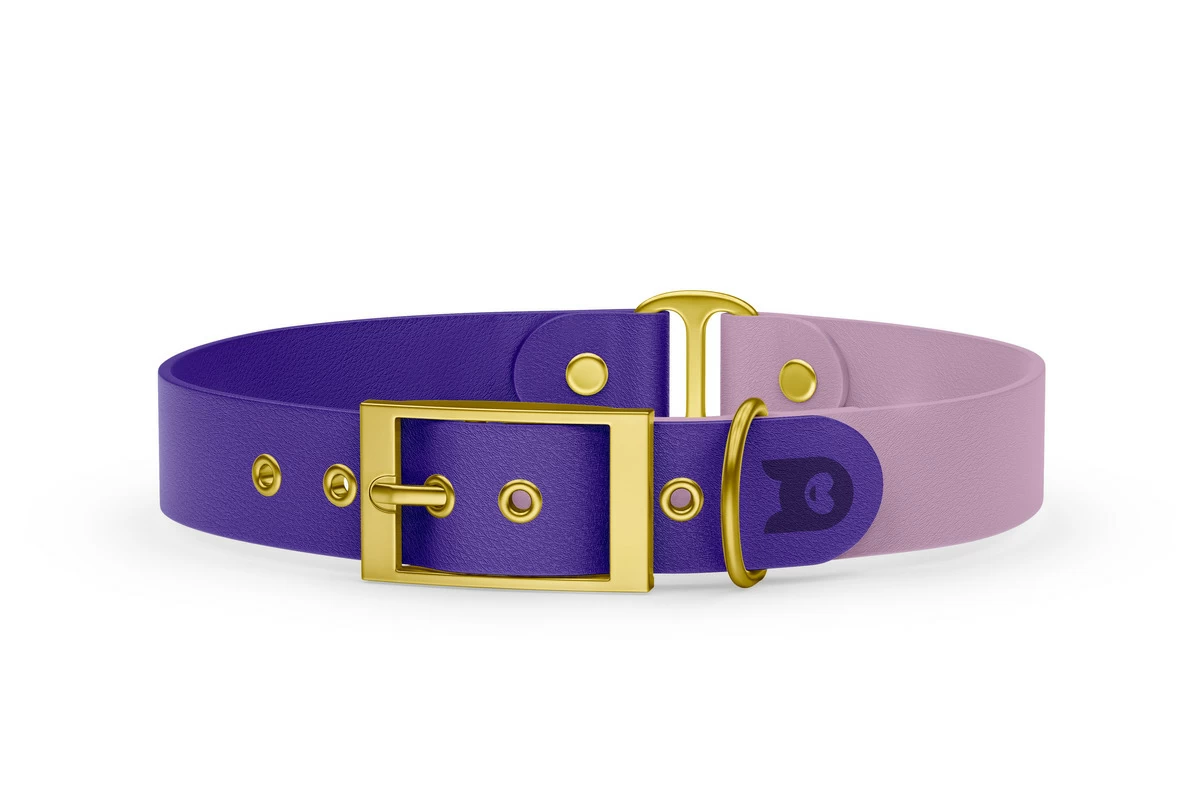 Duo-Halsband für Hunde: Violett & Flieder mit Gold-Komponenten