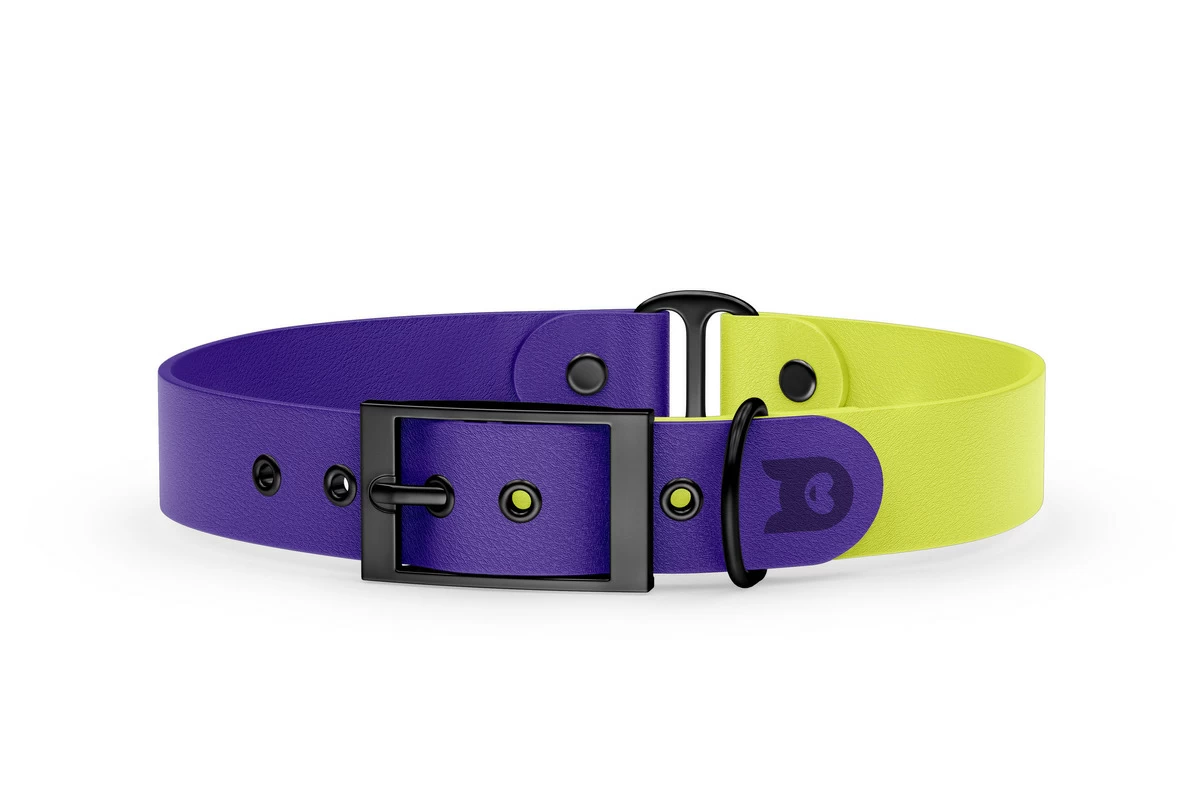 Duo-Halsband für Hunde: Violett & Neongelb mit Schwarz-Komponenten