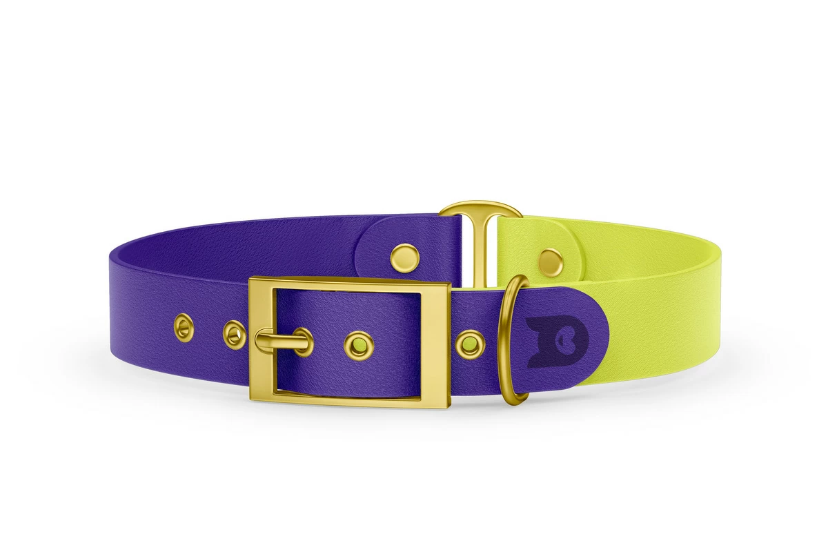 Duo-Halsband für Hunde: Violett & Neongelb mit Gold-Komponenten