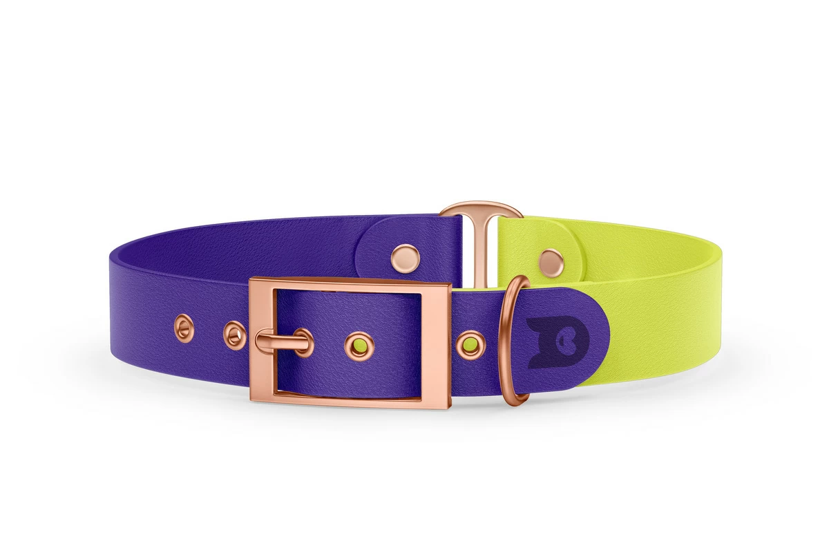 Duo-Halsband für Hunde: Violett & Neongelb mit Rosegold-Komponenten