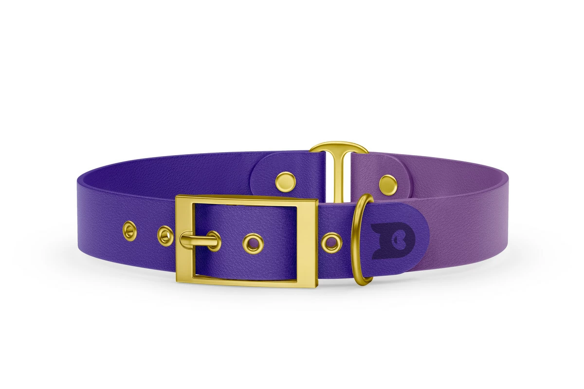 Duo-Halsband für Hunde: Violett & Purpur mit Gold-Komponenten