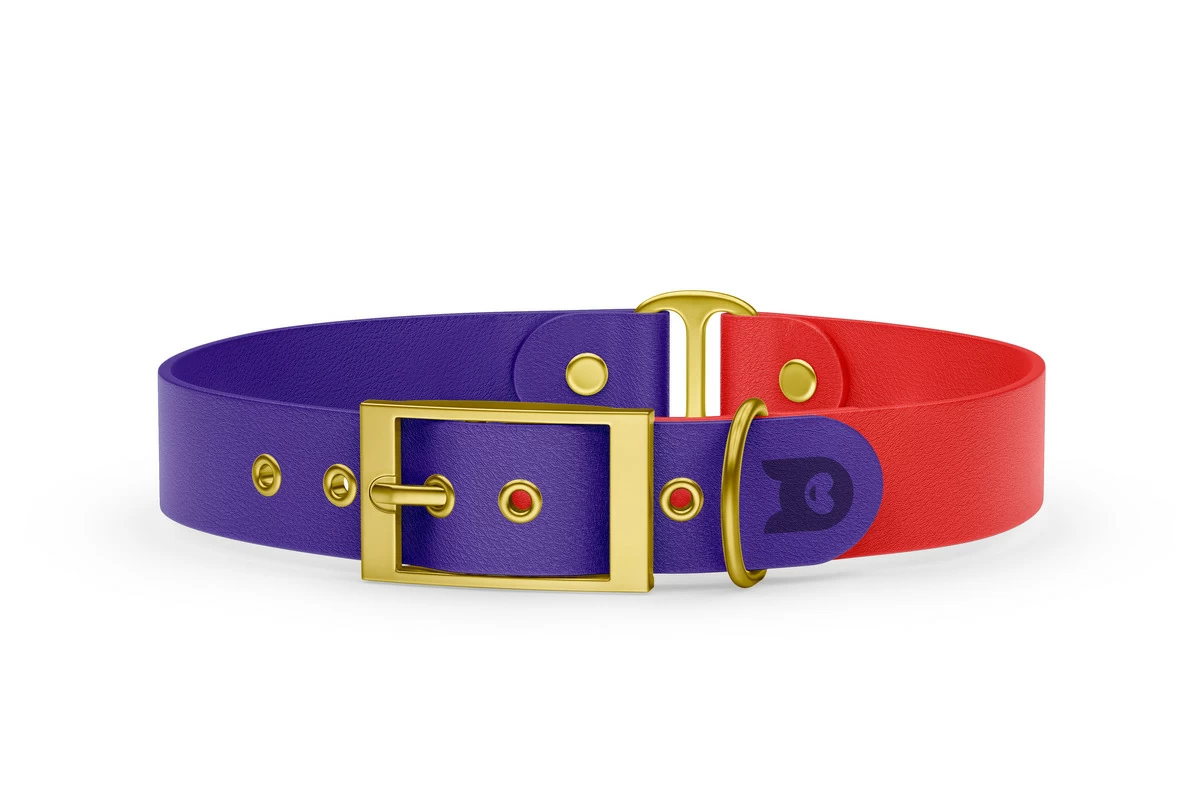 Duo-Halsband für Hunde: Violett & Rot mit Gold-Komponenten