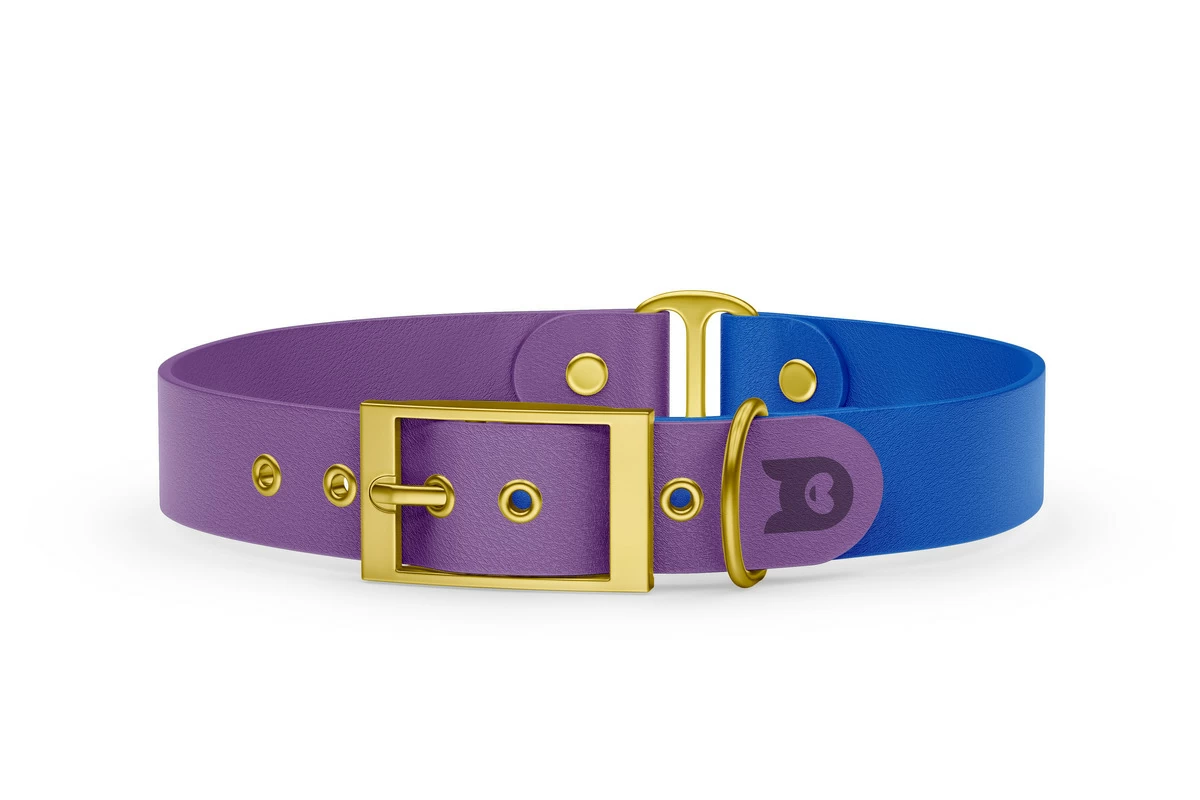 Duo-Halsband für Hunde: Purpur & Blau mit Gold-Komponenten