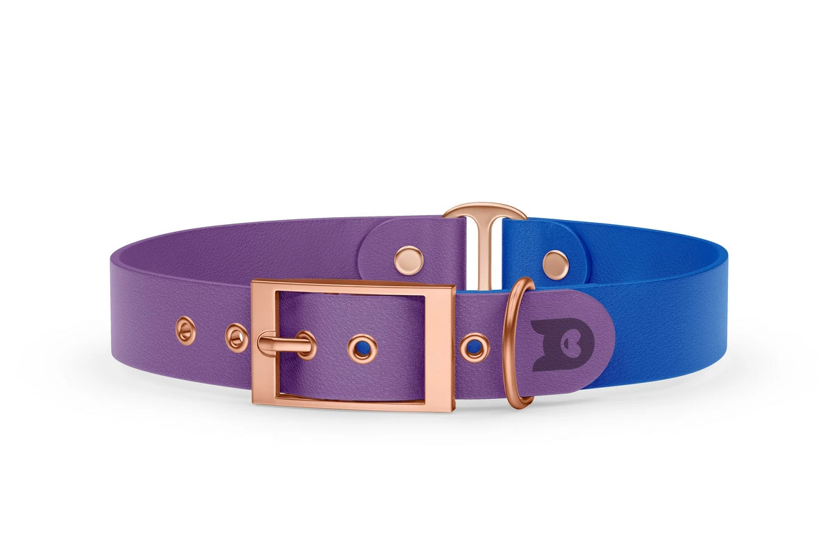 Duo-Halsband für Hunde: Purpur & Blau mit Rosegold-Komponenten
