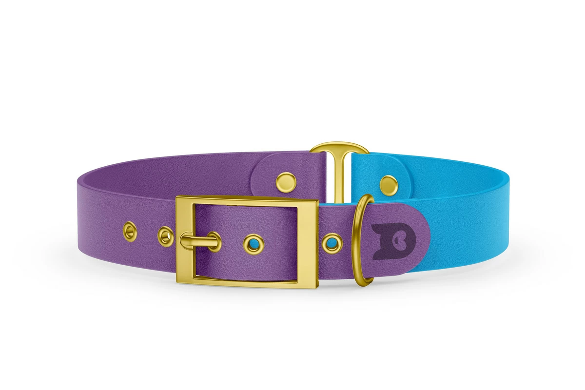Duo-Halsband für Hunde: Purpur & Hellblau mit Gold-Komponenten