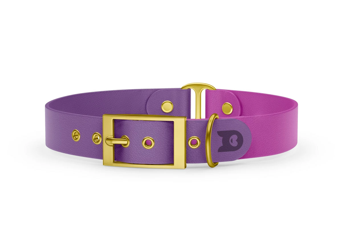 Duo-Halsband für Hunde: Purpur & Hellviolett mit Gold-Komponenten