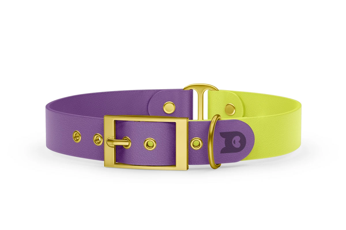 Duo-Halsband für Hunde: Purpur & Neongelb mit Gold-Komponenten