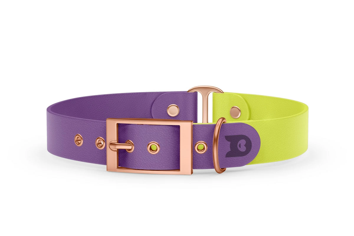 Duo-Halsband für Hunde: Purpur & Neongelb mit Rosegold-Komponenten