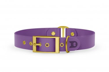 Duo-Halsband für Hunde: Purpur & Purpur mit Gold-Komponenten