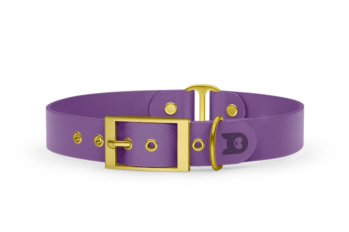 Duo-Halsband für Hunde: Purpur & Purpur mit Gold-Komponenten