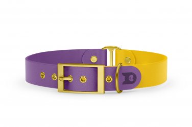 Duo-Halsband für Hunde: Purpur & Gelb mit Gold-Komponenten