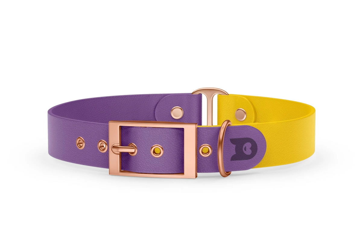 Duo-Halsband für Hunde: Purpur & Gelb mit Rosegold-Komponenten