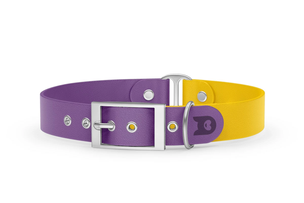 Duo-Halsband für Hunde: Purpur & Gelb mit Silber-Komponenten