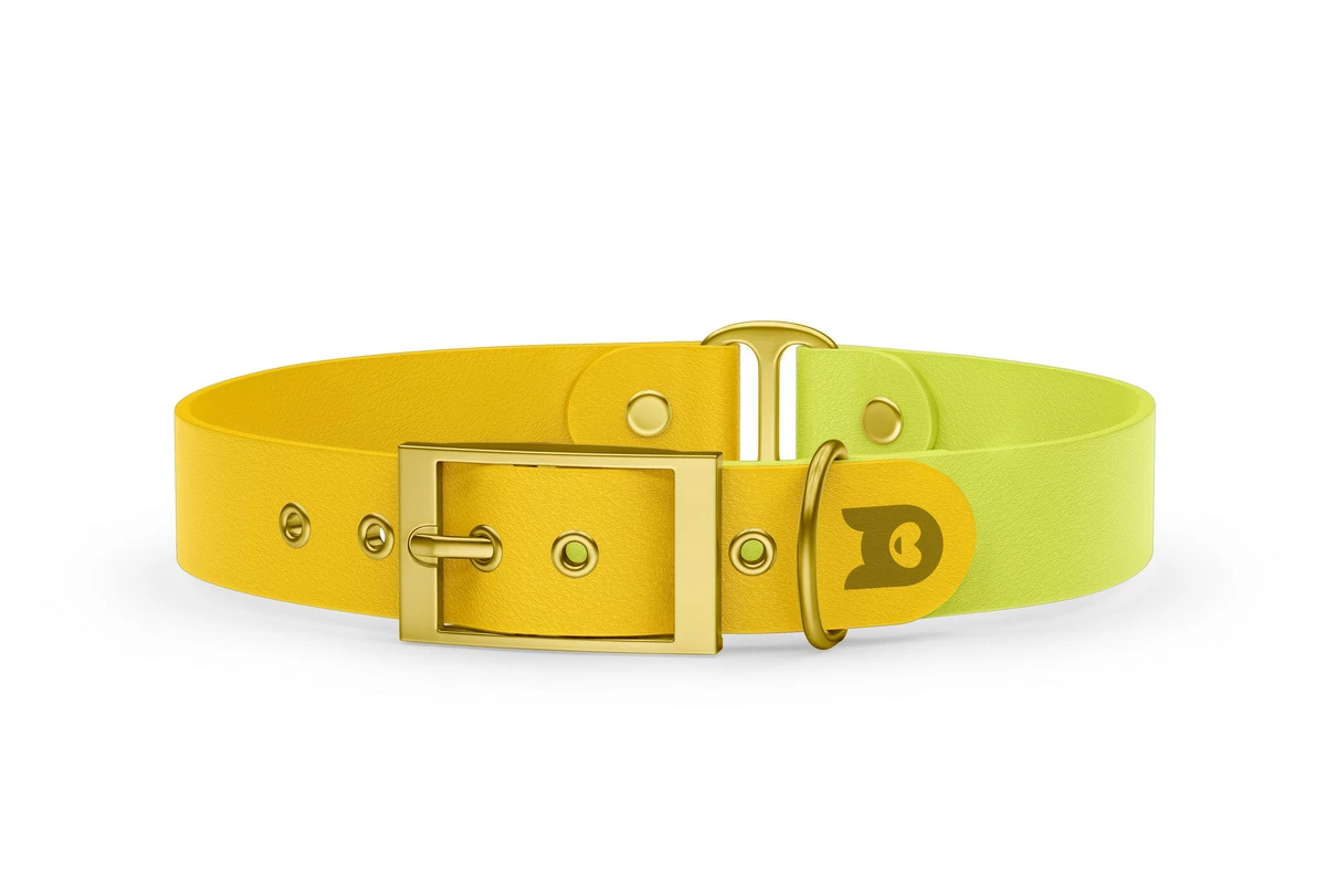 Duo-Halsband für Hunde: Gelb & Neongelb mit Gold-Komponenten