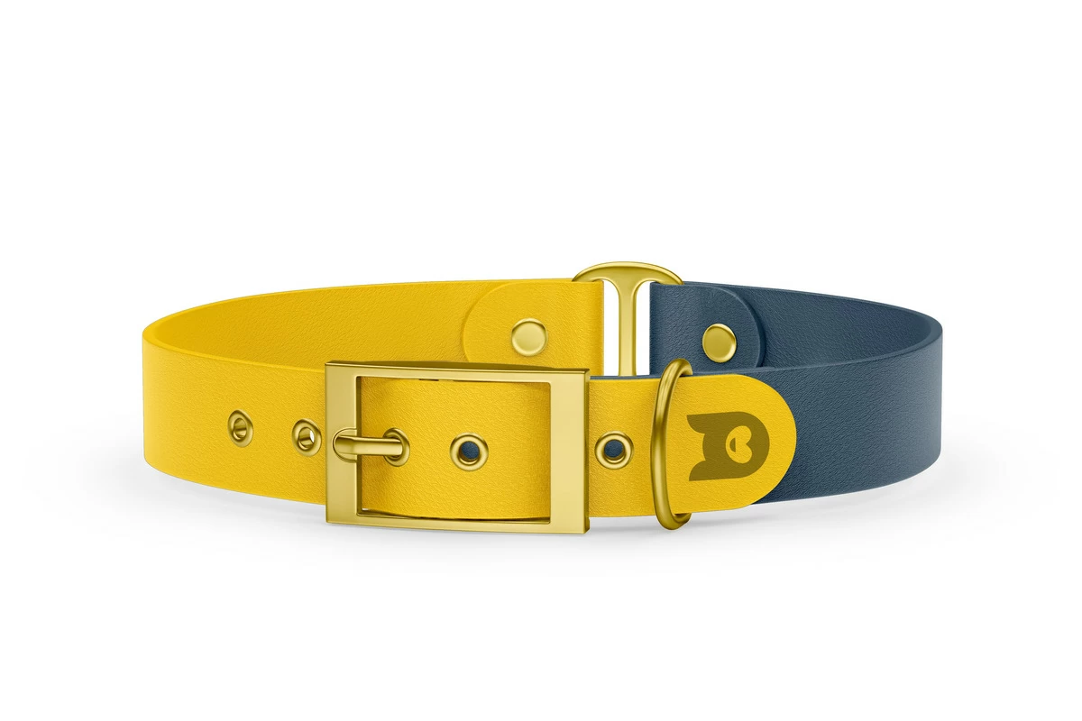 Duo-Halsband für Hunde: Gelb & Petrol mit Gold-Komponenten