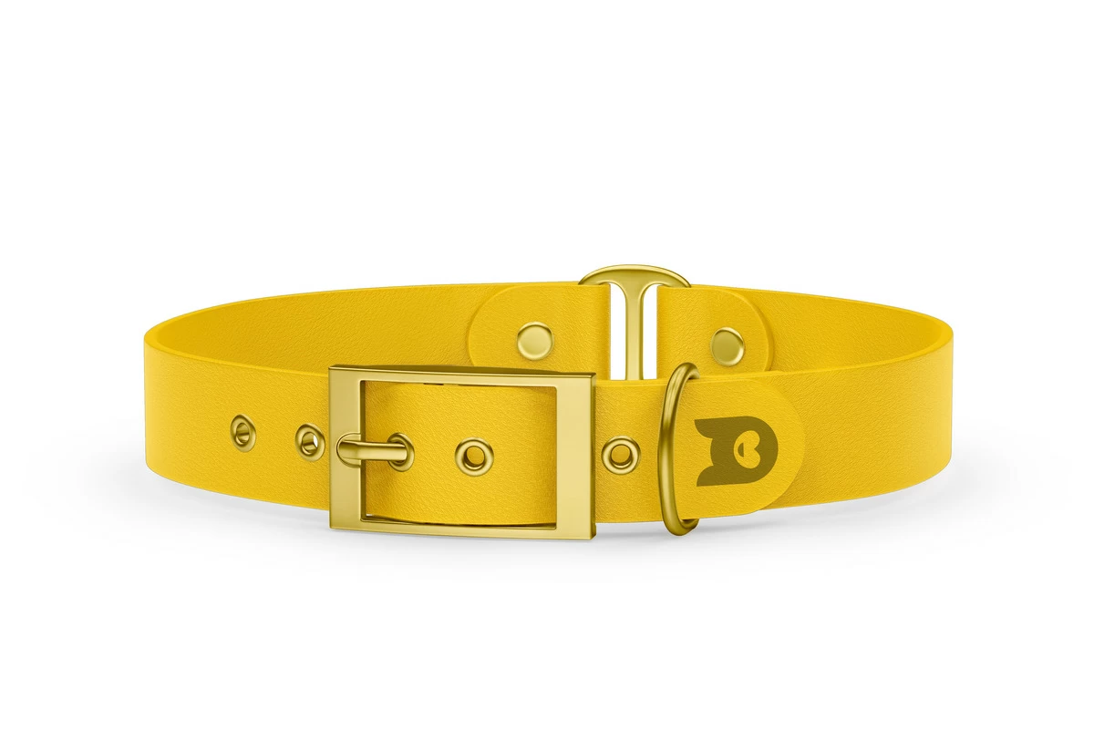 Duo-Halsband für Hunde: Gelb & Gelb mit Gold-Komponenten