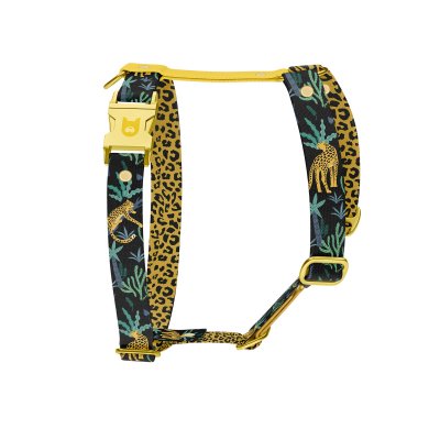 Hundegeschirr Kollektion Jaguar