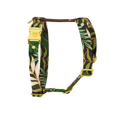 Hundegeschirr Kollektion Jungle