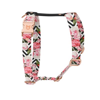 Hundegeschirr Kollektion Roses