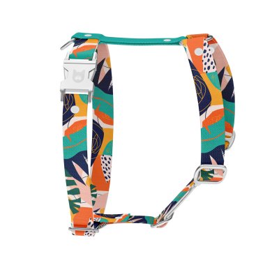 Hundegeschirr Kollektion Teal