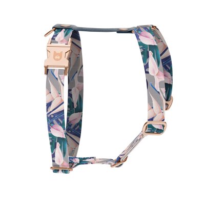 Hundegeschirr Kollektion Tropical