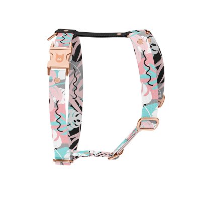 Hundegeschirr Kollektion Uno