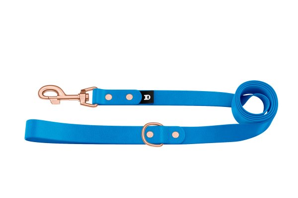 Basis-Leine für Hunde: Hellblau mit Komponenten aus Rosegold