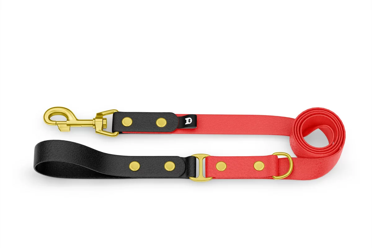 Duo-Leine für Hunde: Schwarz & Rot mit Komponenten aus Gold