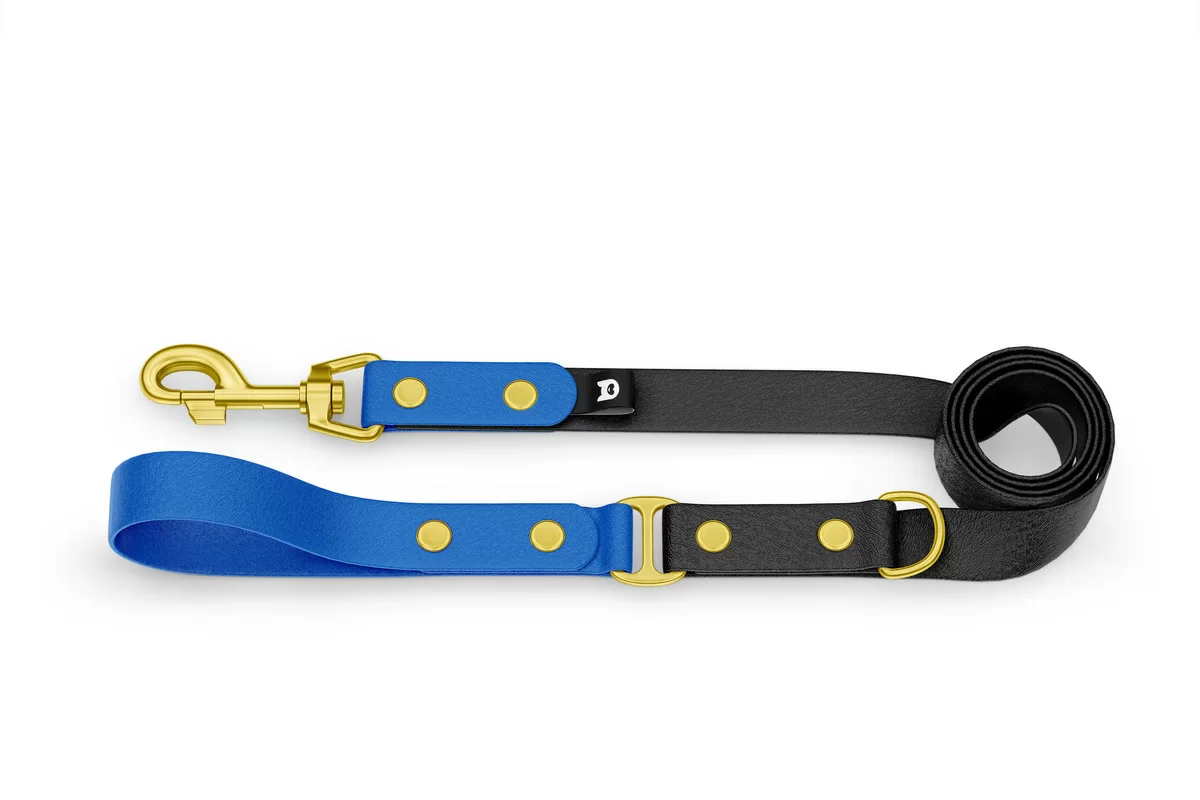 Duo-Leine für Hunde: Blau & Schwarz mit Komponenten aus Gold