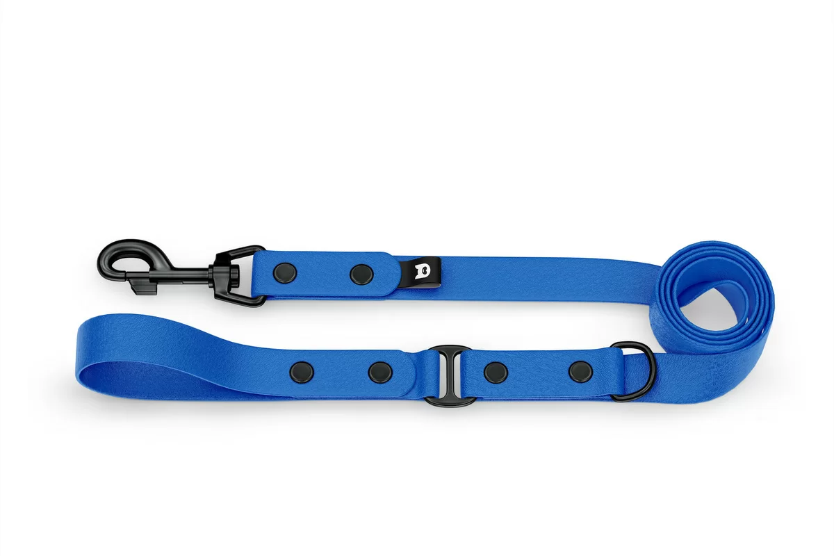 Duo-Leine für Hunde: Blau & Blau mit Komponenten aus Schwarz