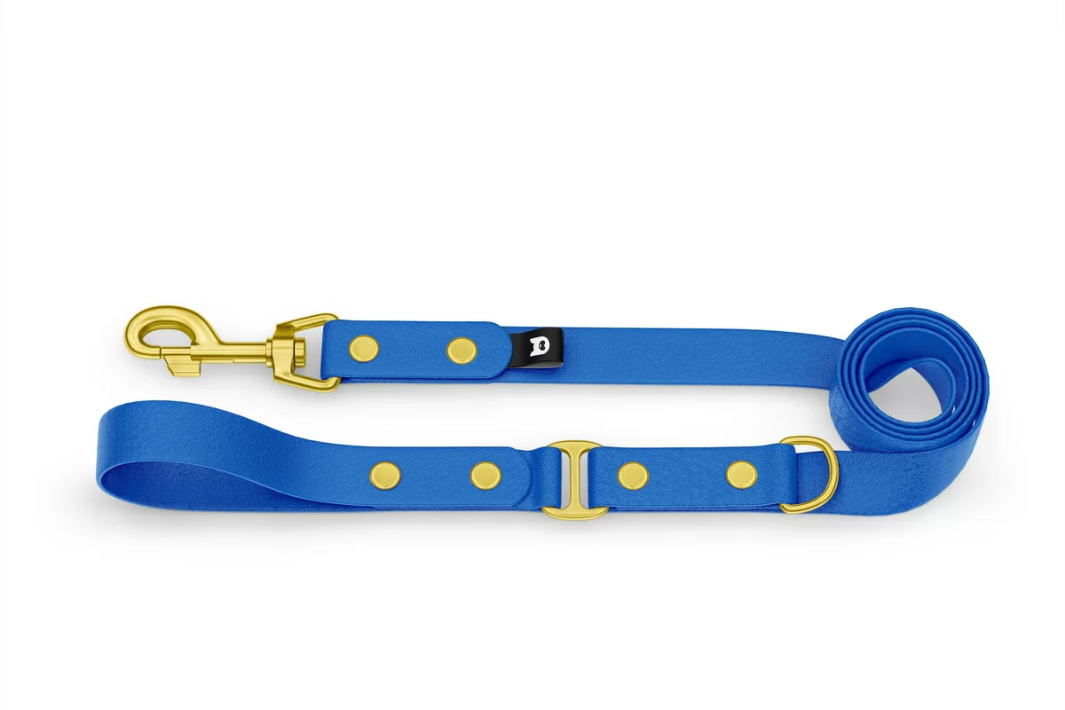 Duo-Leine für Hunde: Blau & Blau mit Komponenten aus Gold