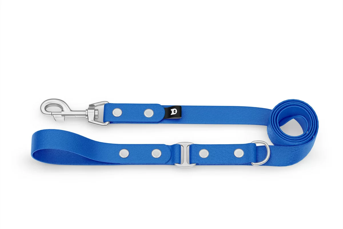 Duo-Leine für Hunde: Blau & Blau mit Komponenten aus Silber