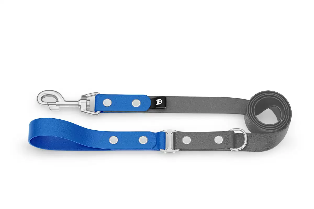 Duo-Leine für Hunde: Blau & Grau mit Komponenten aus Silber