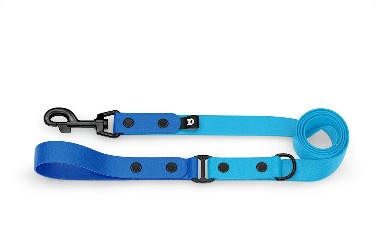 Duo-Leine für Hunde: Blau & Hellblau mit Komponenten aus Schwarz