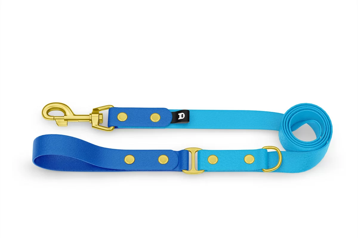 Duo-Leine für Hunde: Blau & Hellblau mit Komponenten aus Gold