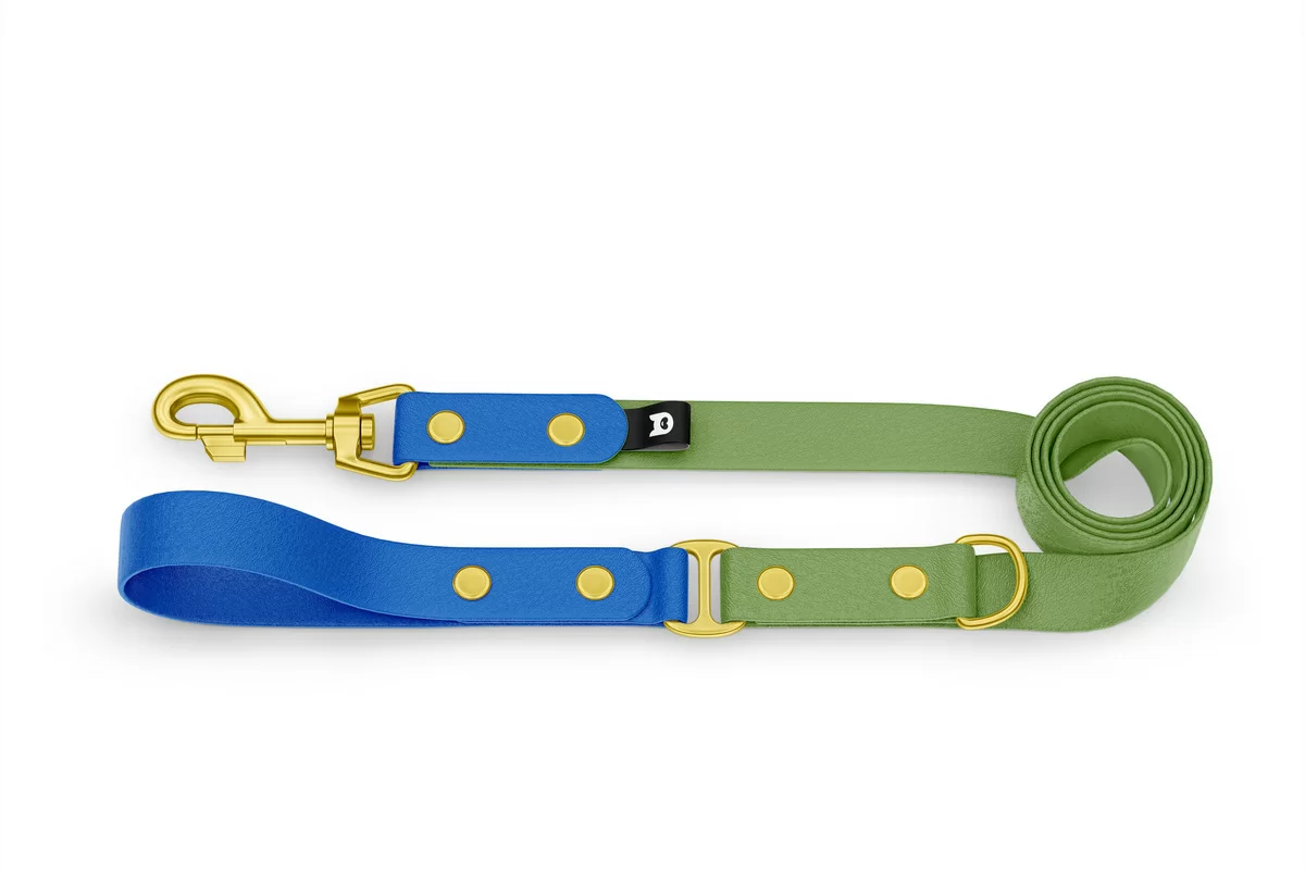 Duo-Leine für Hunde: Blau & Oliv mit Komponenten aus Gold
