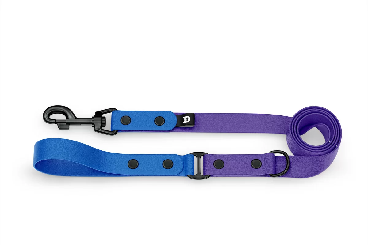 Duo-Leine für Hunde: Blau & Violett mit Komponenten aus Schwarz