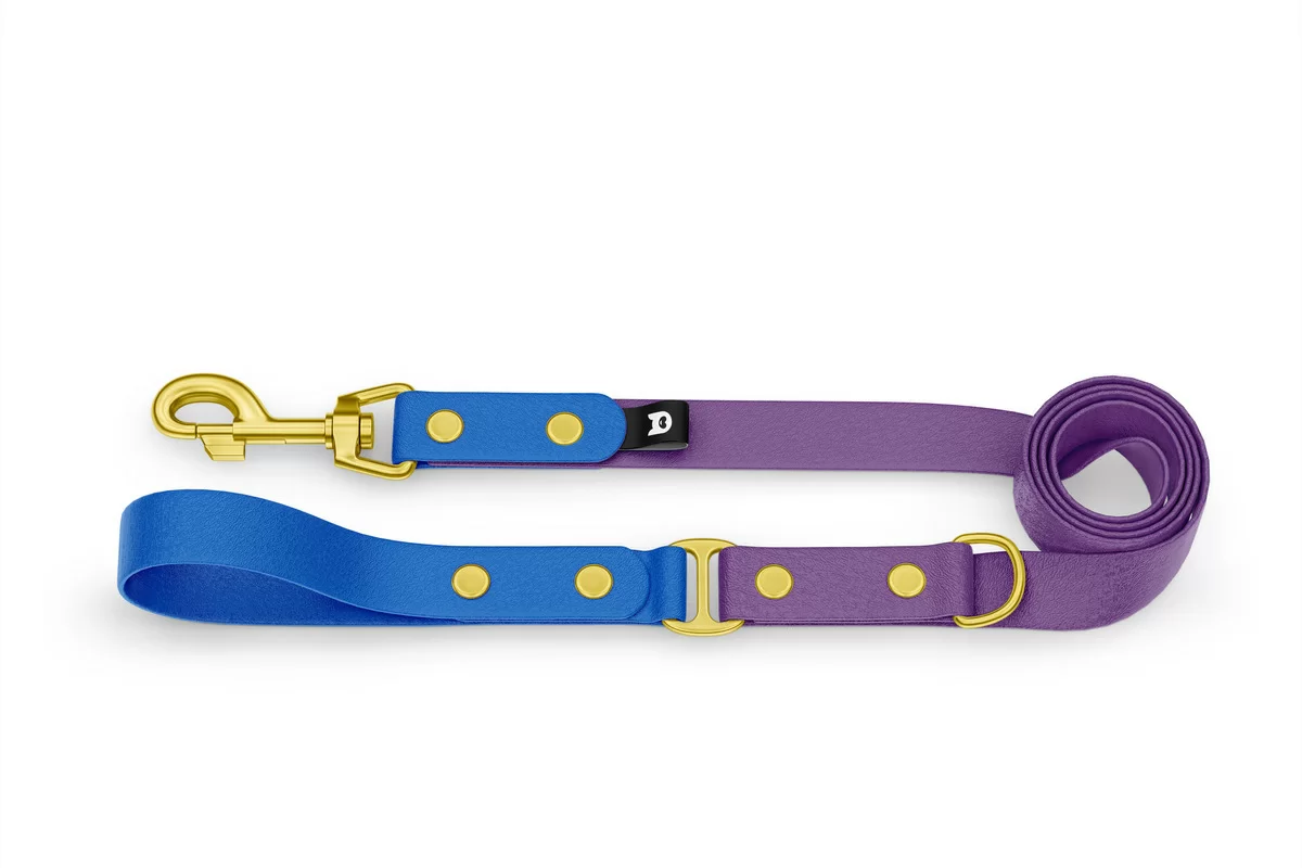 Duo-Leine für Hunde: Blau & Purpur mit Komponenten aus Gold