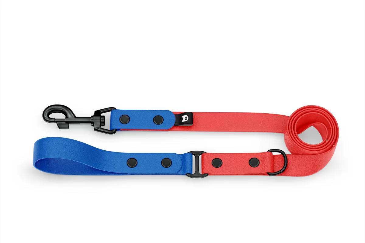 Duo-Leine für Hunde: Blau & Rot mit Komponenten aus Schwarz