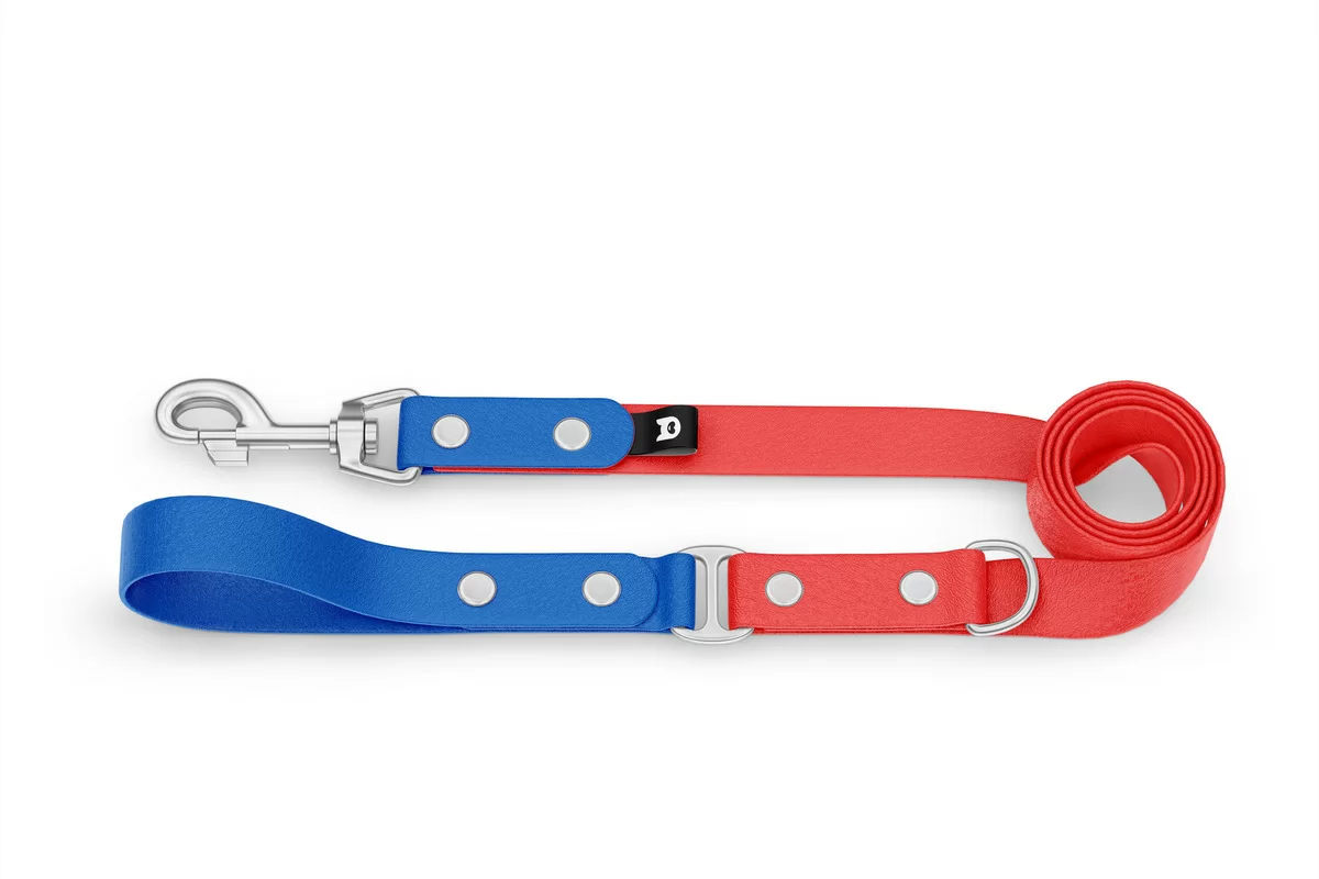 Duo-Leine für Hunde: Blau & Rot mit Komponenten aus Silber
