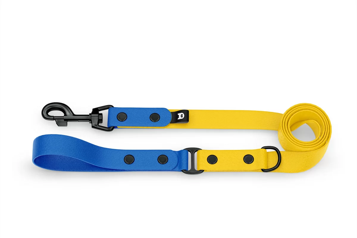 Duo-Leine für Hunde: Blau & Gelb mit Komponenten aus Schwarz