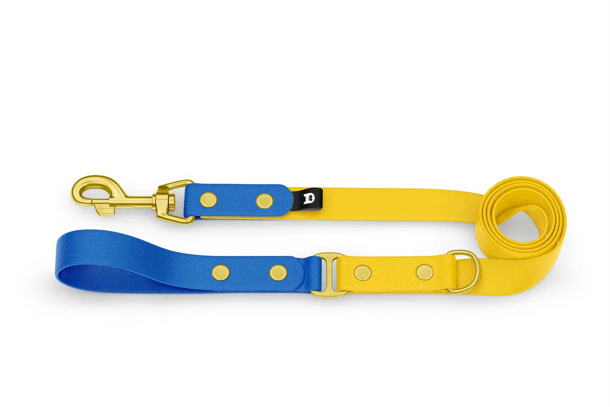 Duo-Leine für Hunde: Blau & Gelb mit Komponenten aus Gold