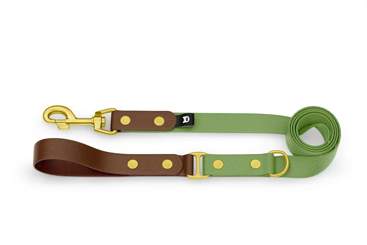 Duo-Leine für Hunde: Dunkelbraun & Oliv mit Komponenten aus Gold