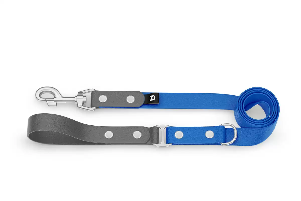 Duo-Leine für Hunde: Grau & Blau mit Komponenten aus Silber