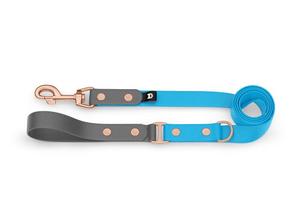 Duo-Leine für Hunde: Grau & Hellblau mit Komponenten aus Rosegold