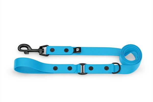 Duo-Leine für Hunde: Hellblau & Hellblau mit Komponenten aus Schwarz