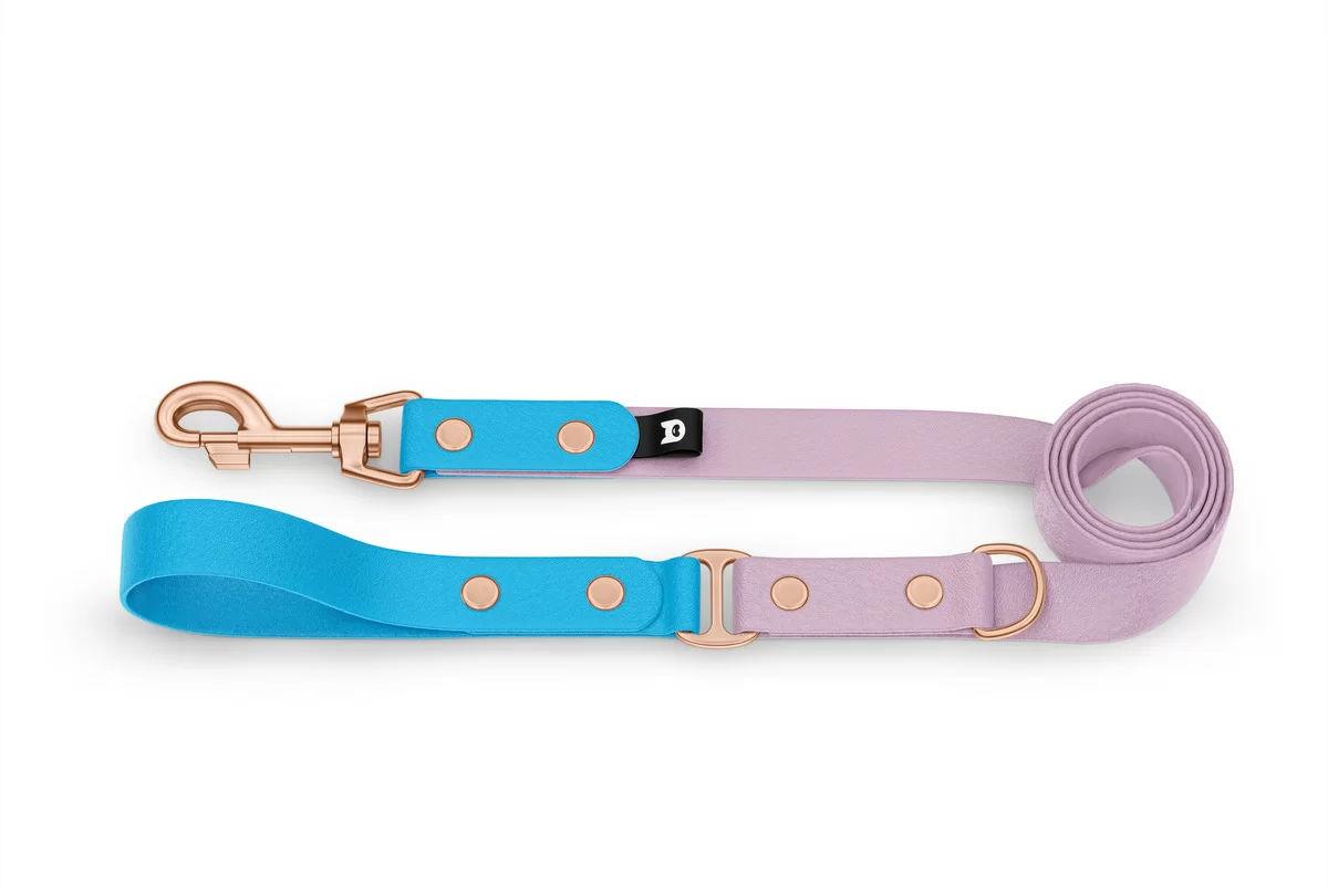 Duo-Leine für Hunde: Hellblau & Flieder mit Komponenten aus Rosegold