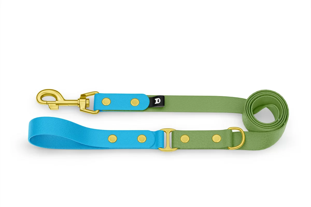 Duo-Leine für Hunde: Hellblau & Oliv mit Komponenten aus Gold
